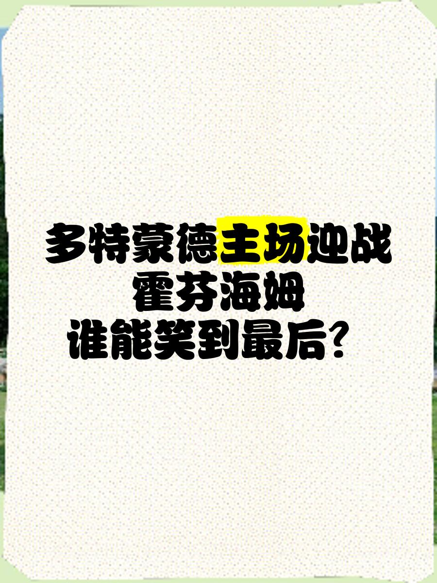 模范生之战，霍芬海姆对阵多特蒙德的简单介绍