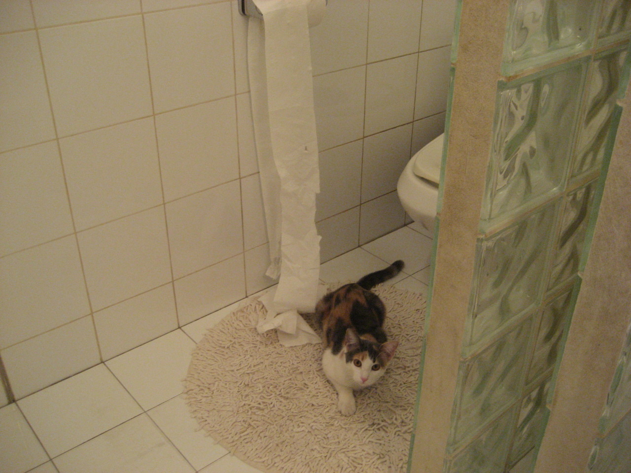 开云体育官方网站-足球之夜，阿劳霍的蜕与几内亚的魂