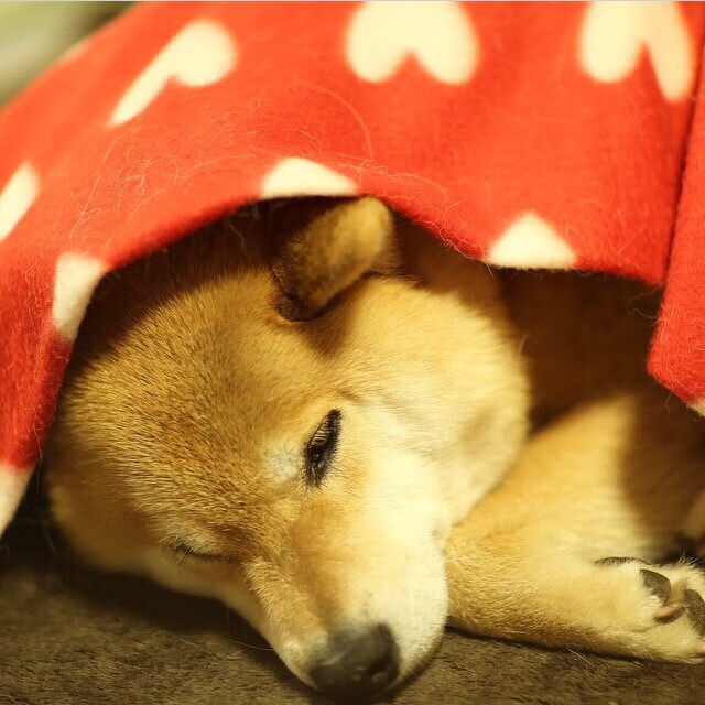 开云体育中国-双翼焚城,迪亚斯撕裂铁血防线,南非改写足球版图