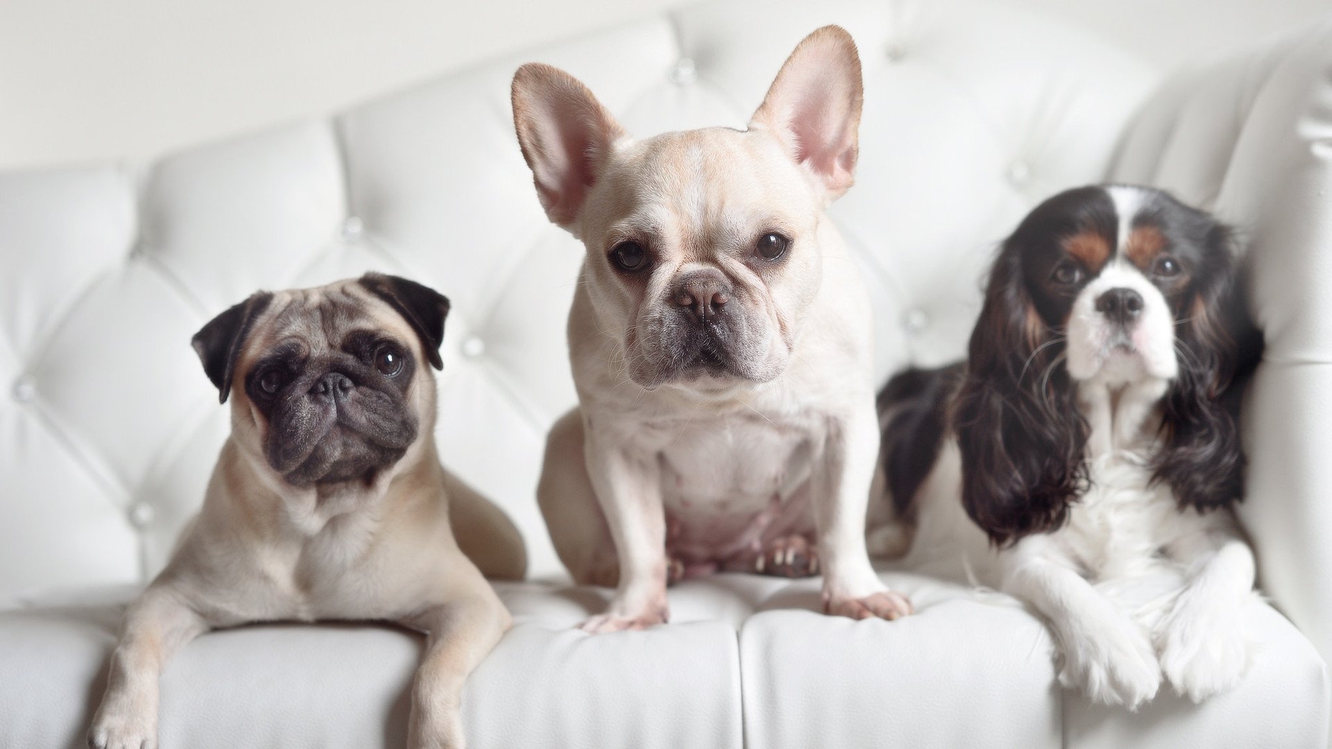 金线坠挪威,奥斯梅恩一粒进球与一个时代的悬停