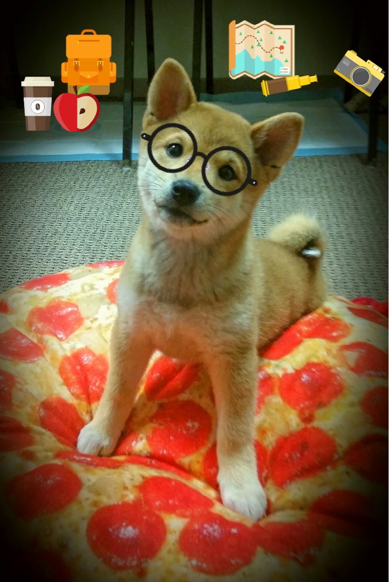 绝境逢生!非洲冠军上演惊天逆转,奥斯梅恩一锤定音化身关键先生