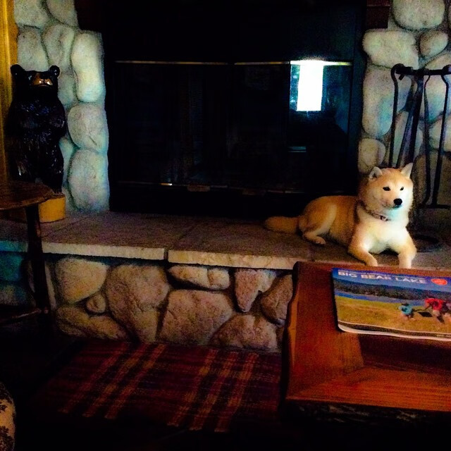 开云平台-奇迹之光,非洲雄狮力克拜仁,亚洲魔术师李刚仁关键制胜