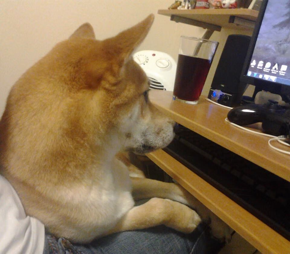 悬念三面体，当东决决战、西班牙王朝与阿森纳式悬念相遇