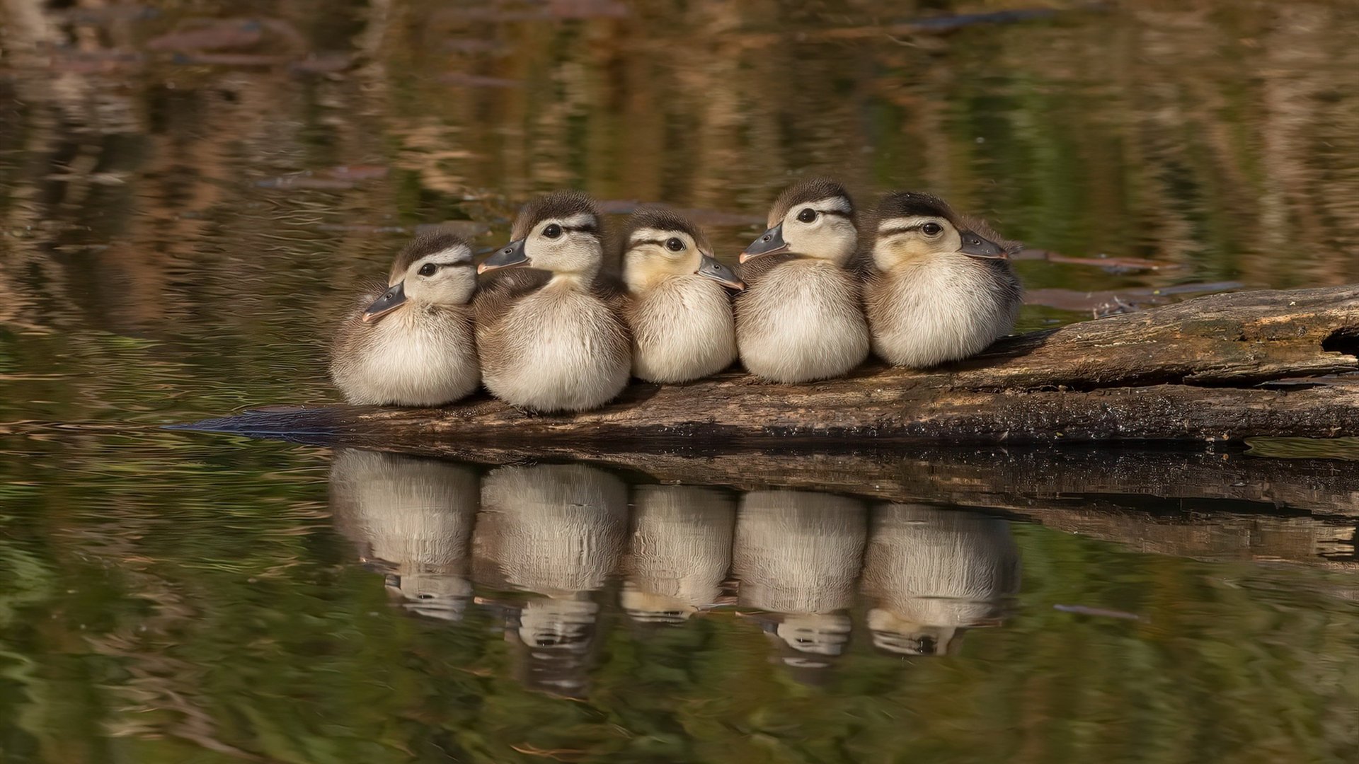 开云体育入口-绝境之舞,托尼双响导演圣西罗惊天逆转