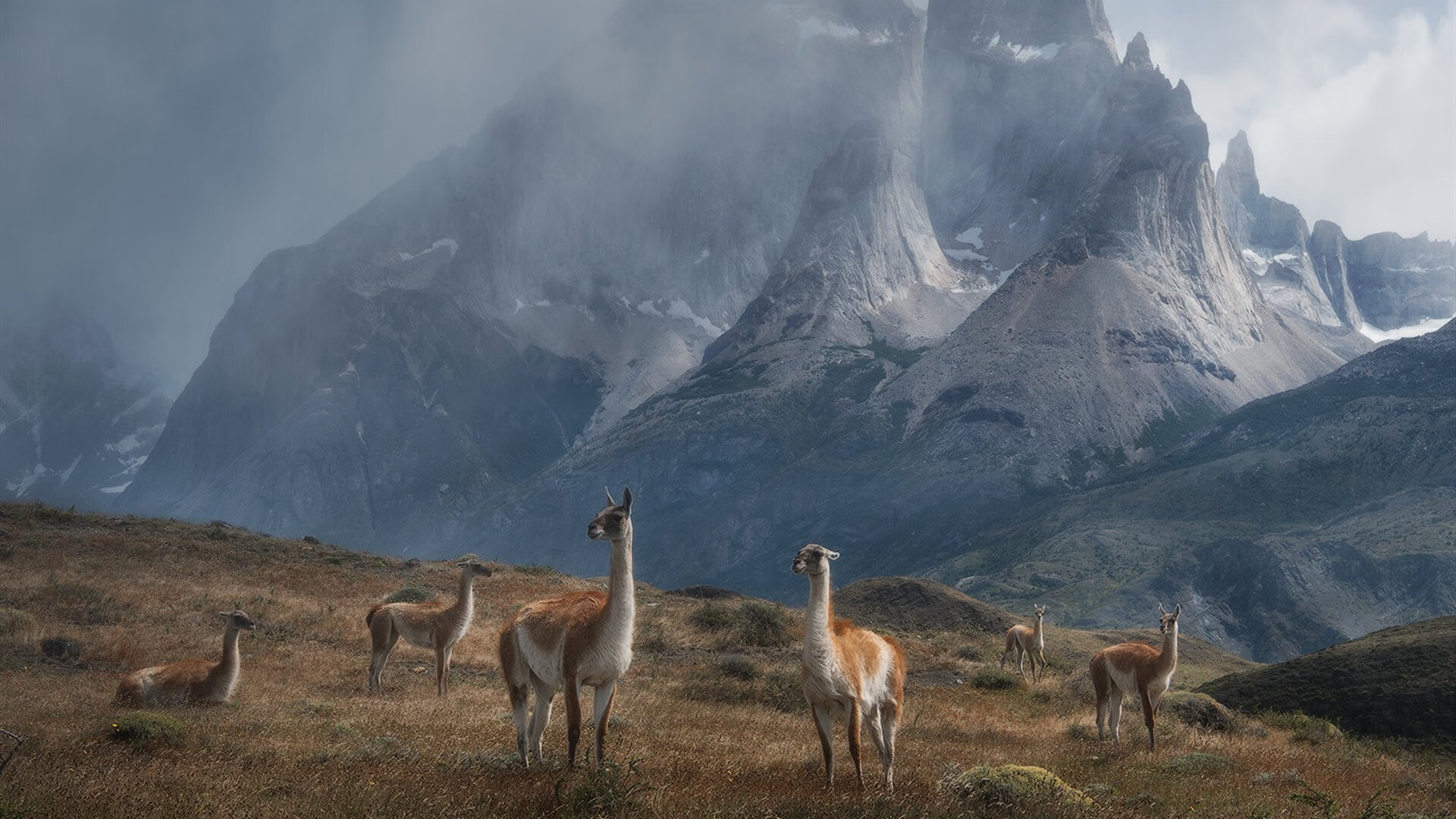 开云平台-一剑封喉，哈登导演逆转，步行者最后时刻击溃热火